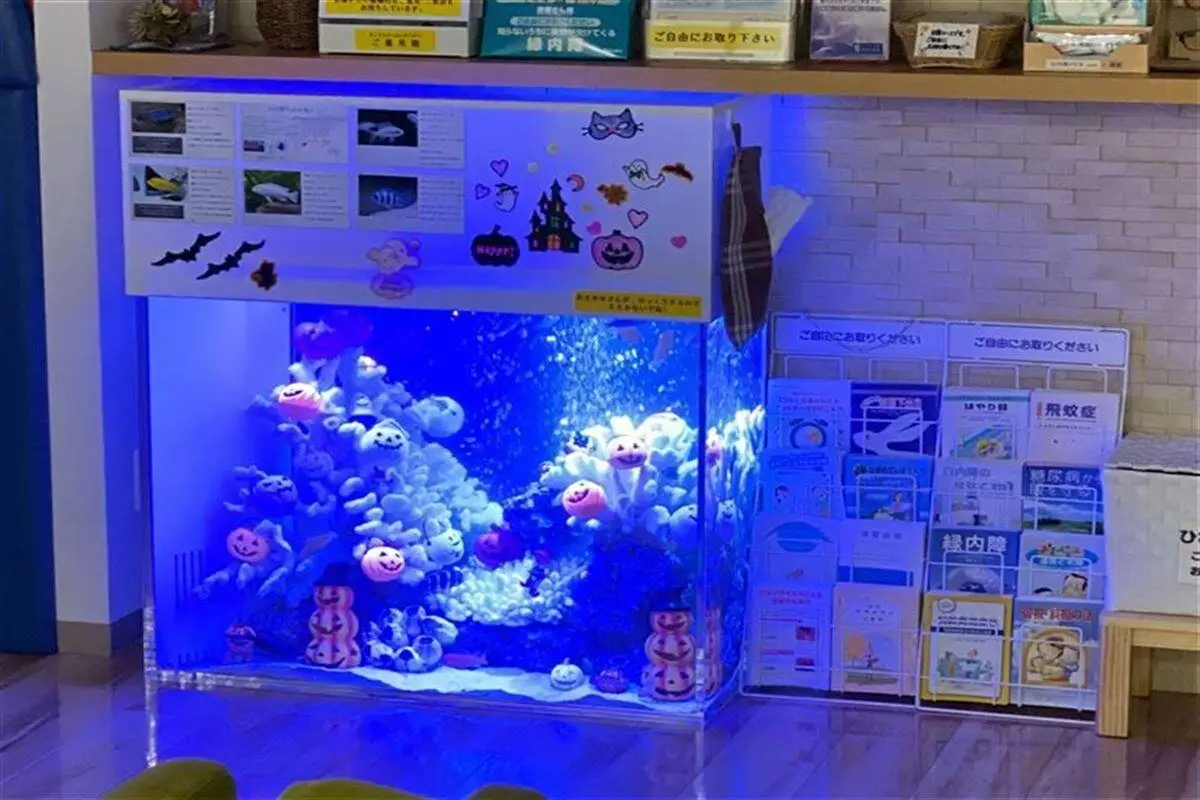 福岡県眼科医院のアクアリウム